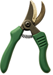 Strategy Icon